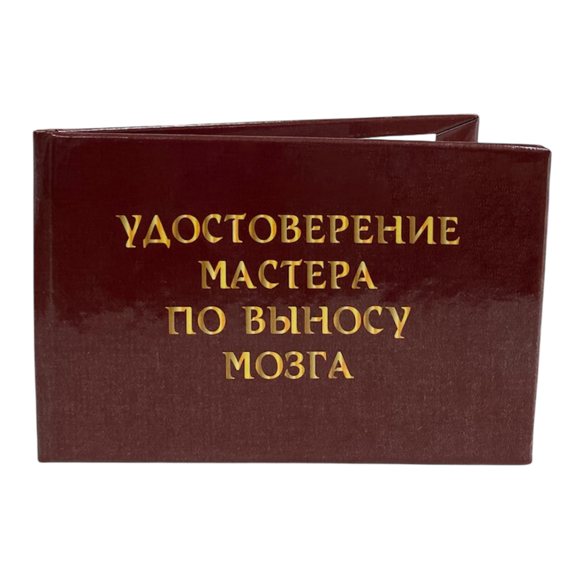 Изображение №3