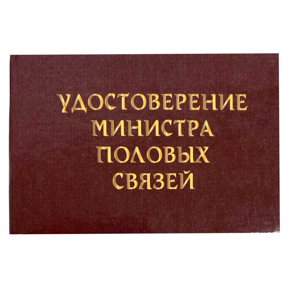 Изображение №1