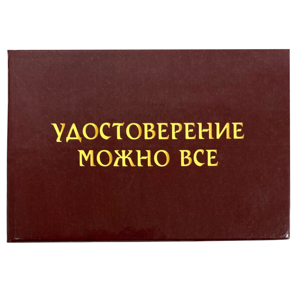 Изображение №1