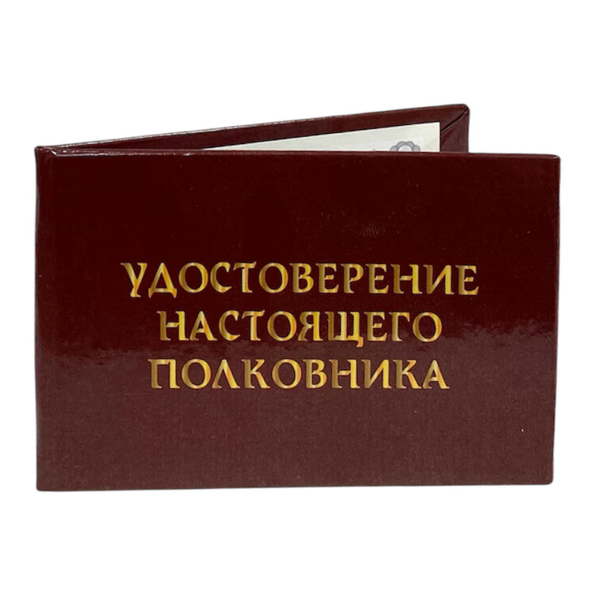 Изображение №3