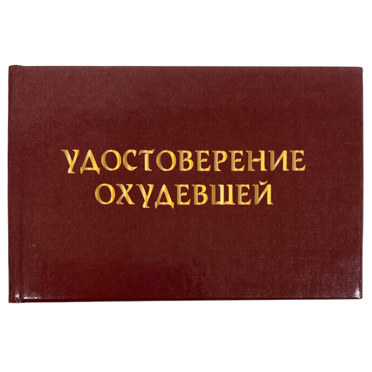 Изображение №1
