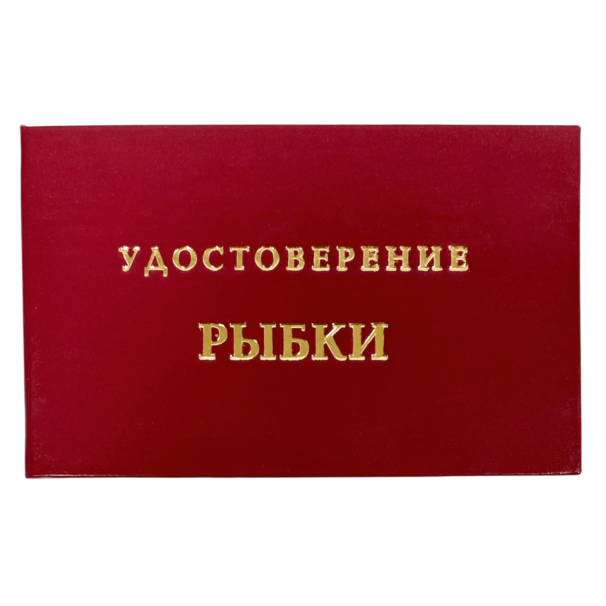 Изображение №1