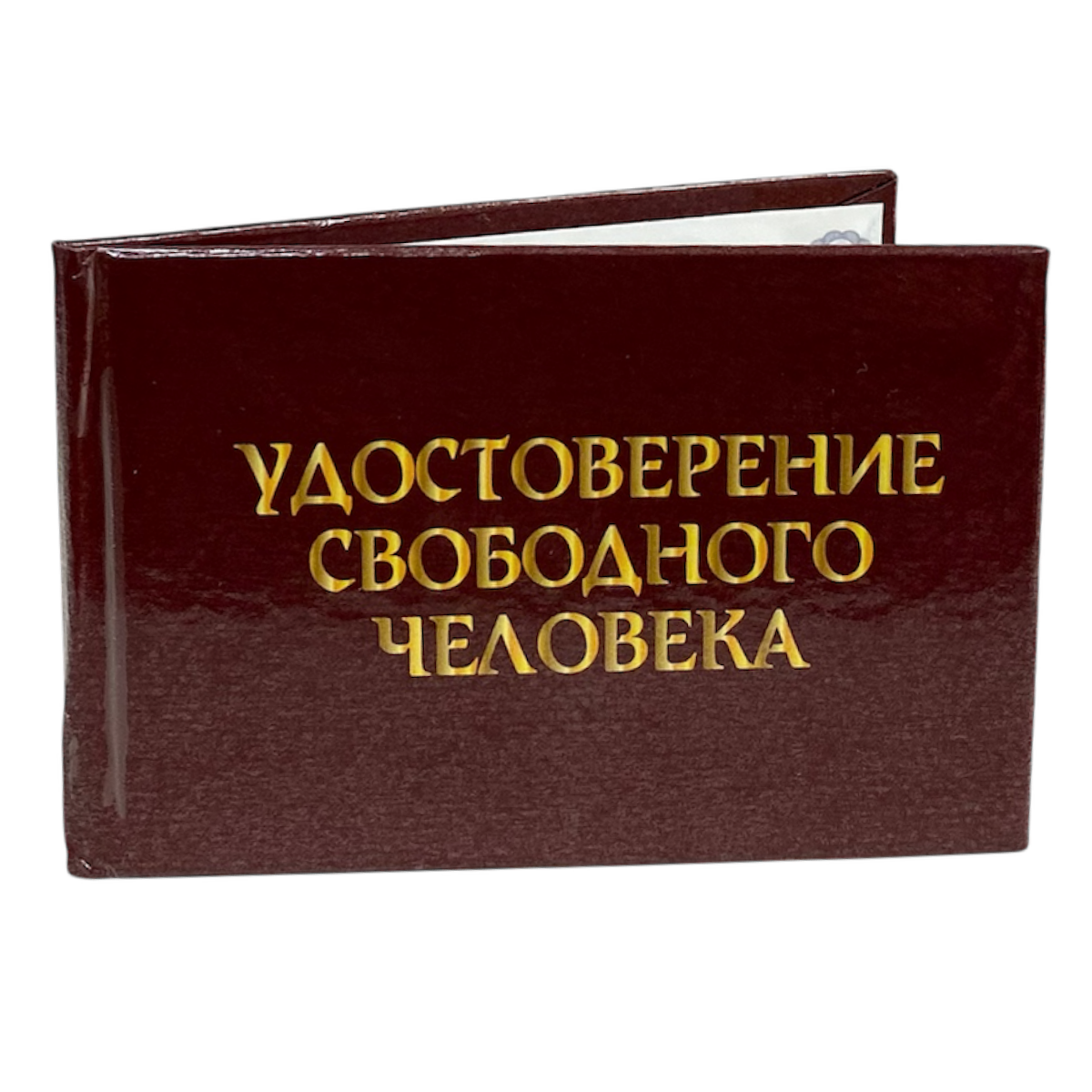 Изображение №3