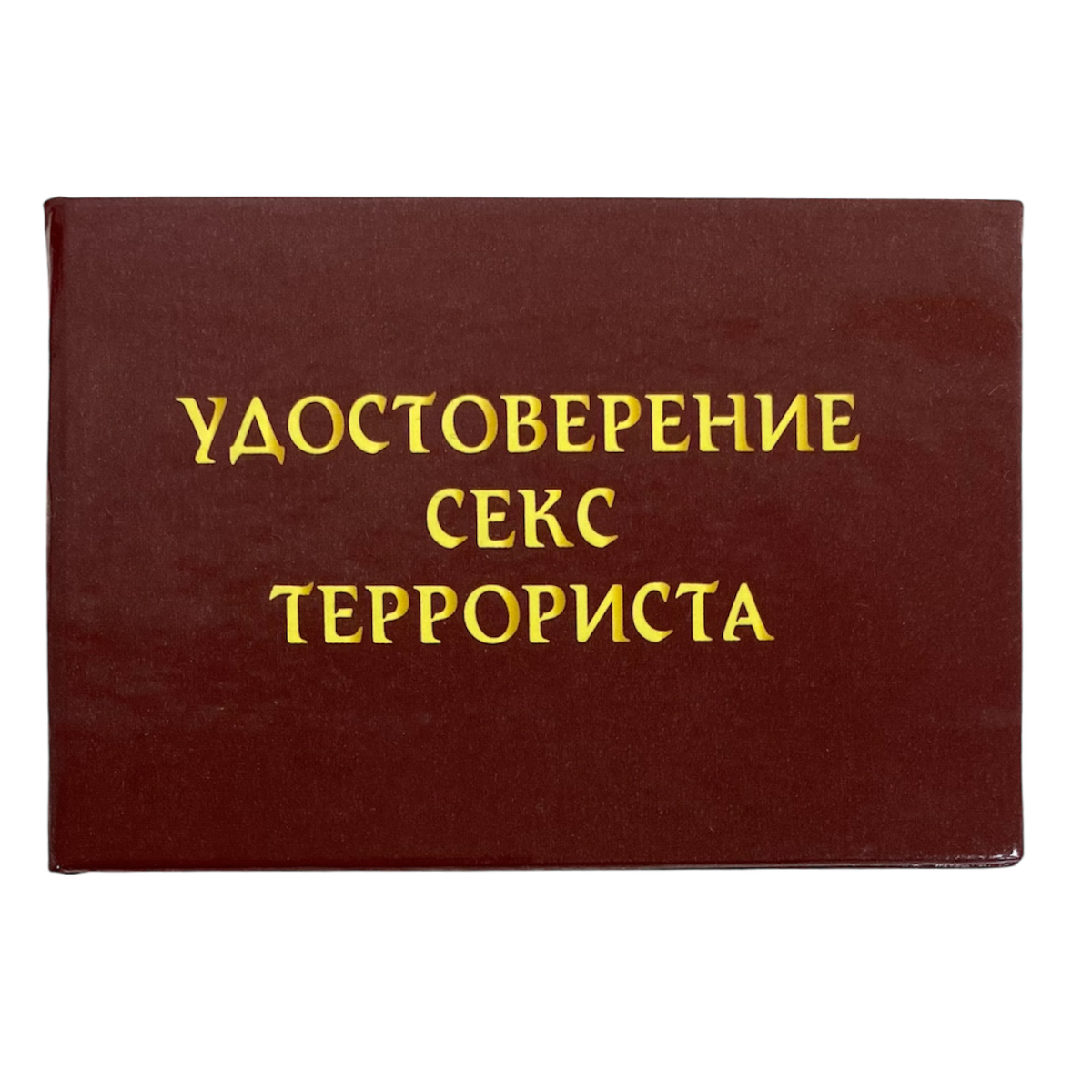 Изображение №1