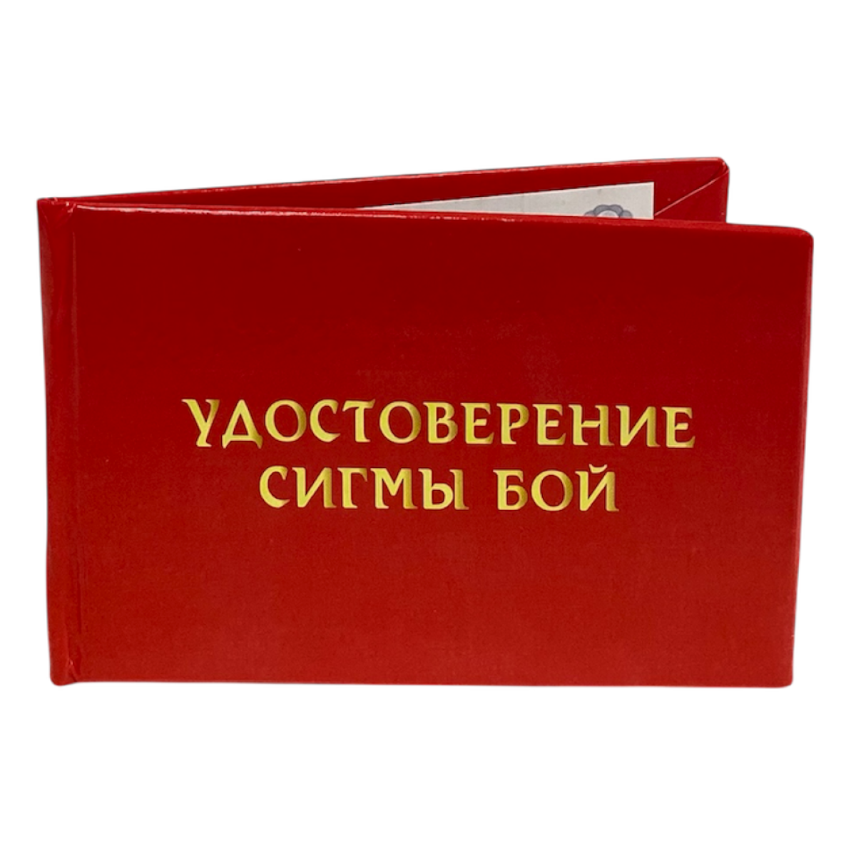 Изображение №3