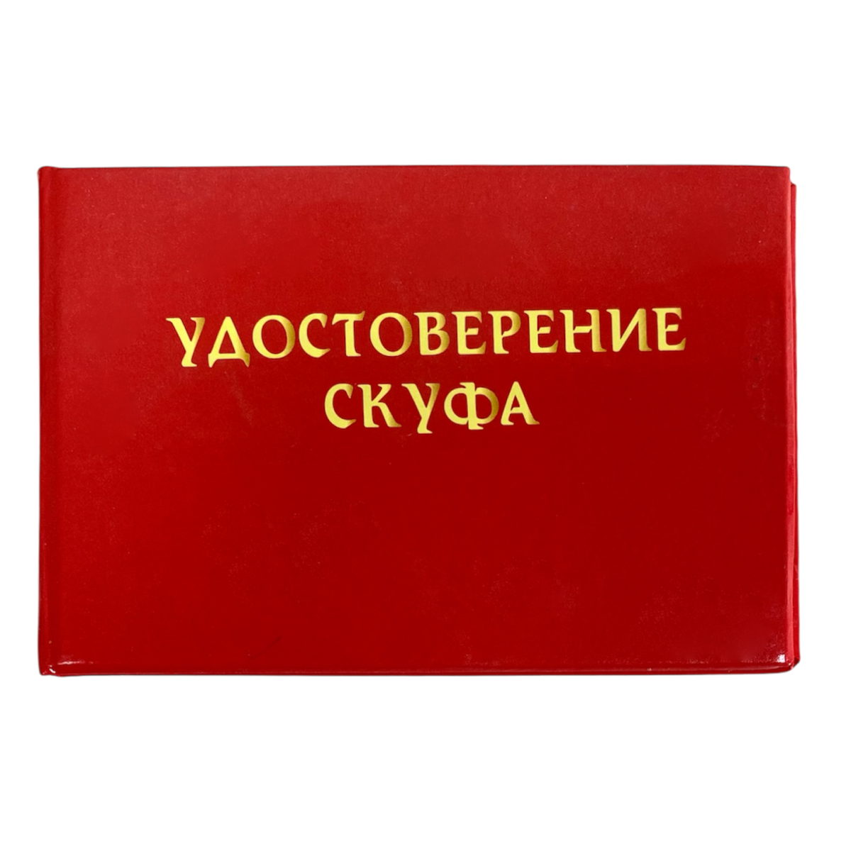 Изображение №1