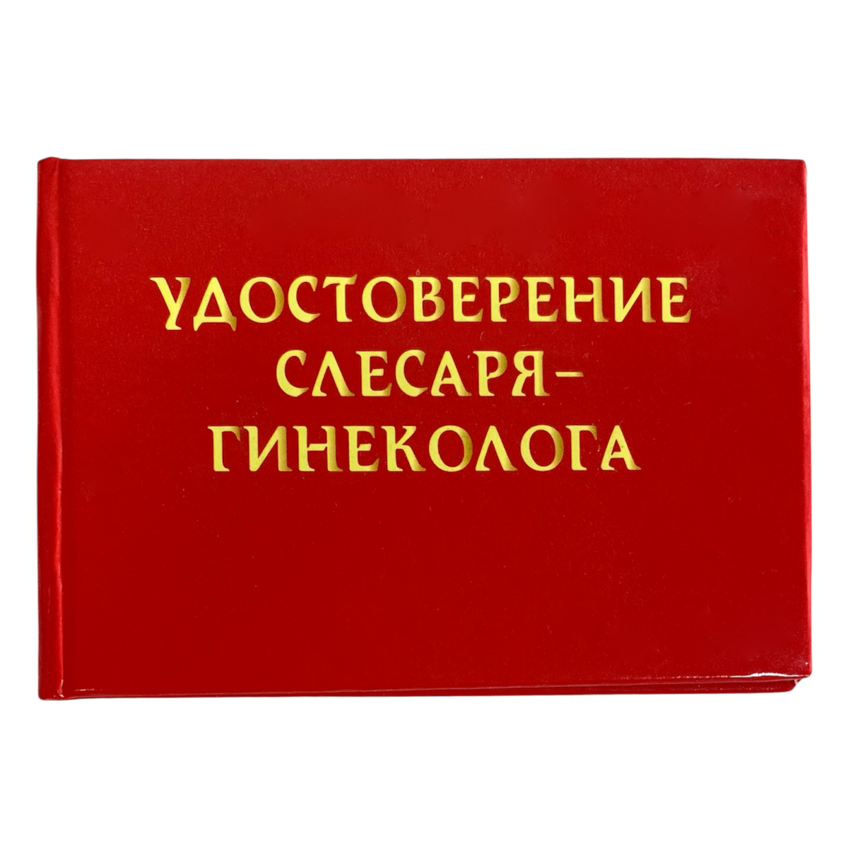Изображение №1