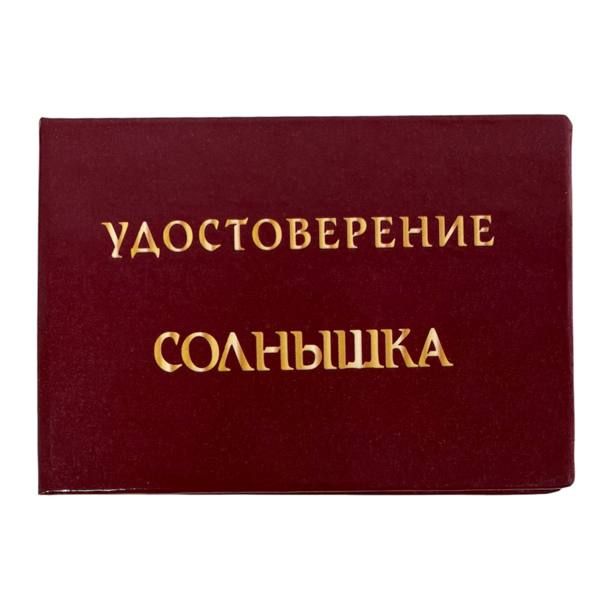 Изображение №1