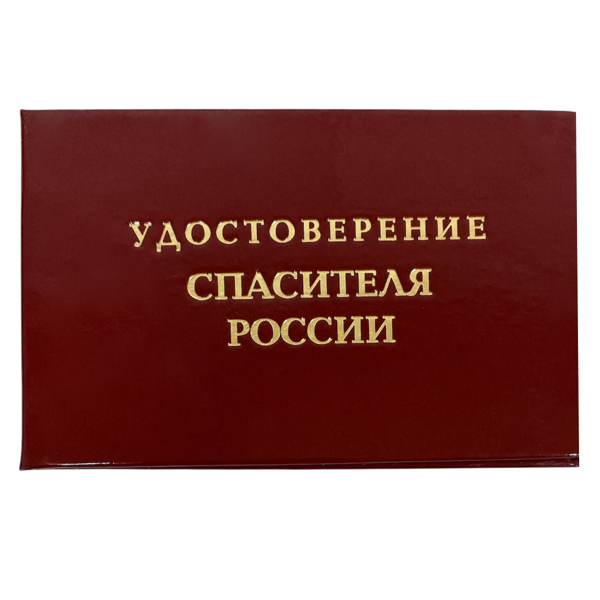 Изображение №1