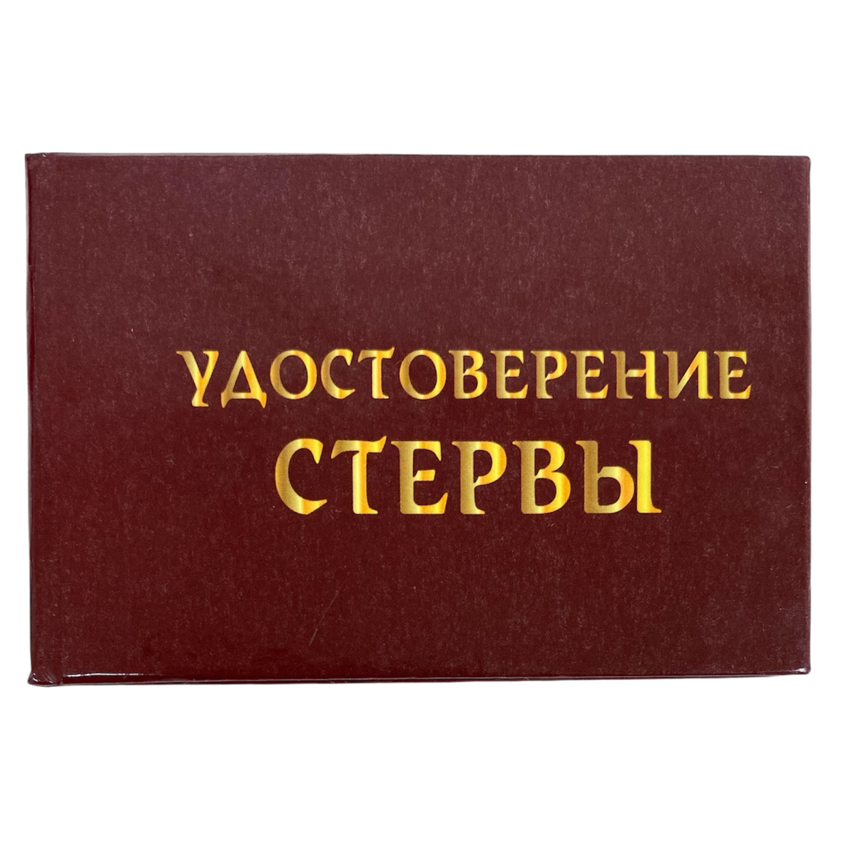 Изображение №1