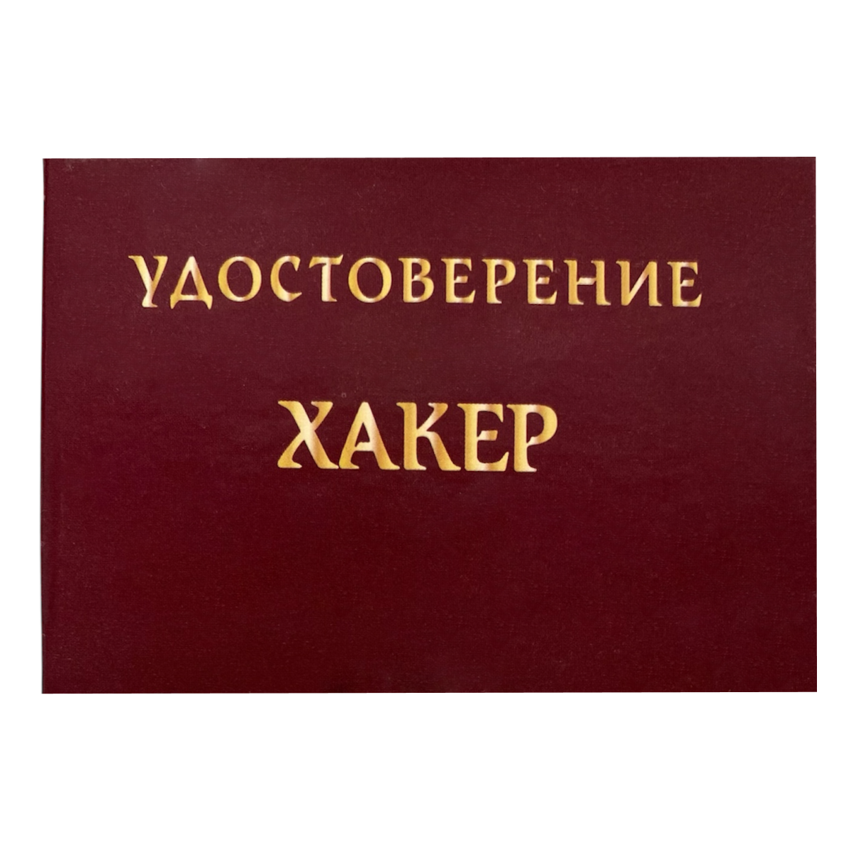 Изображение №1