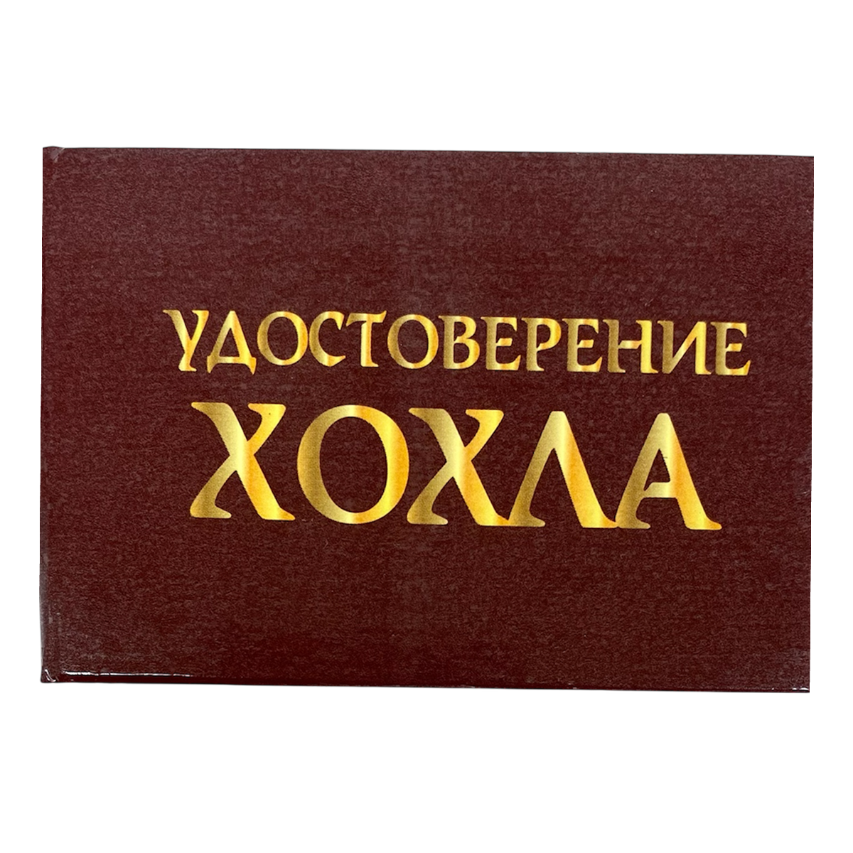 Изображение №1