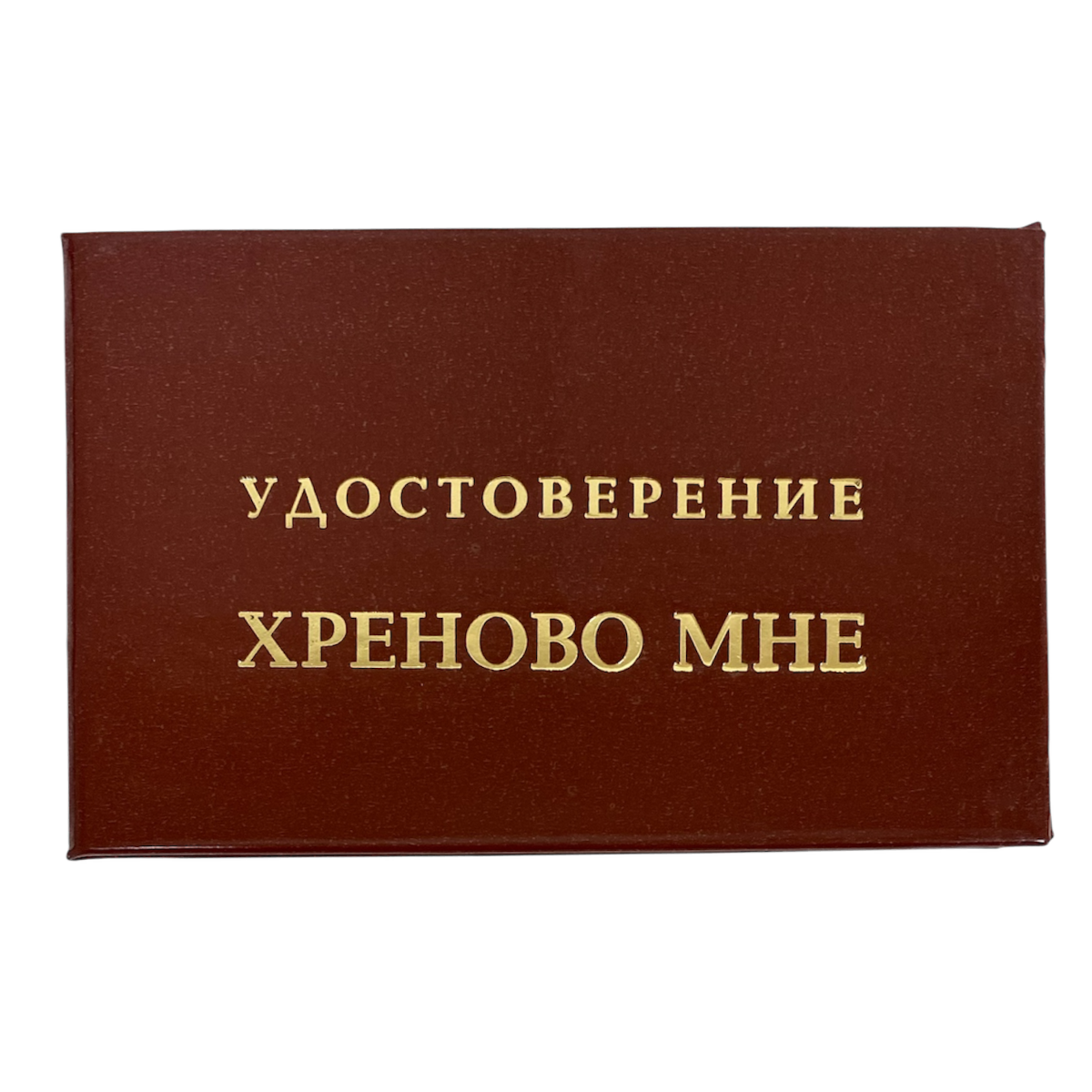 Изображение №1