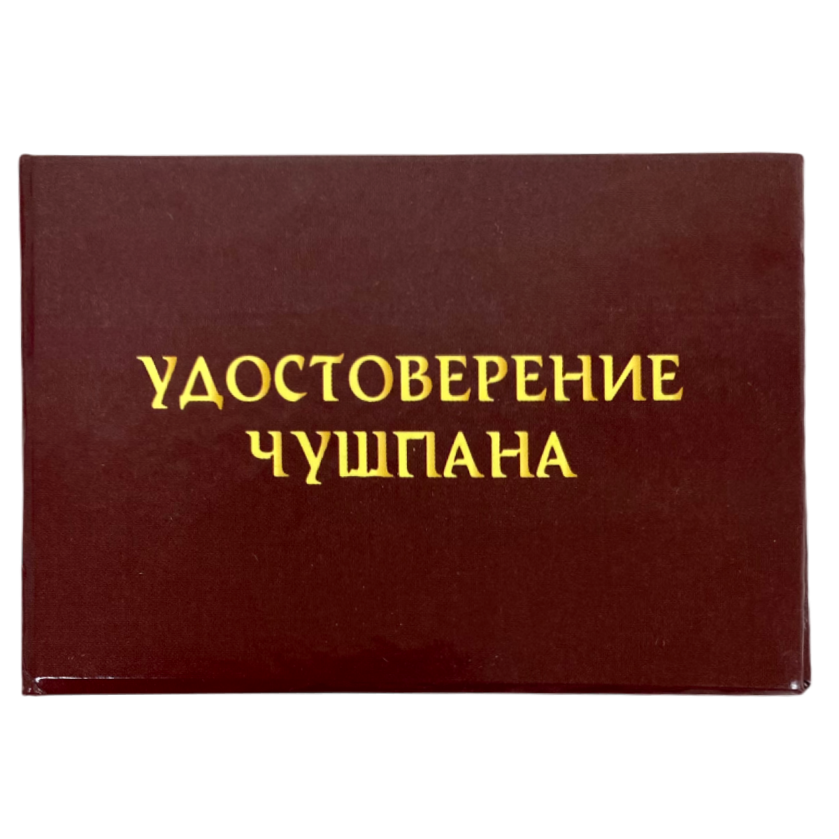 Изображение №1