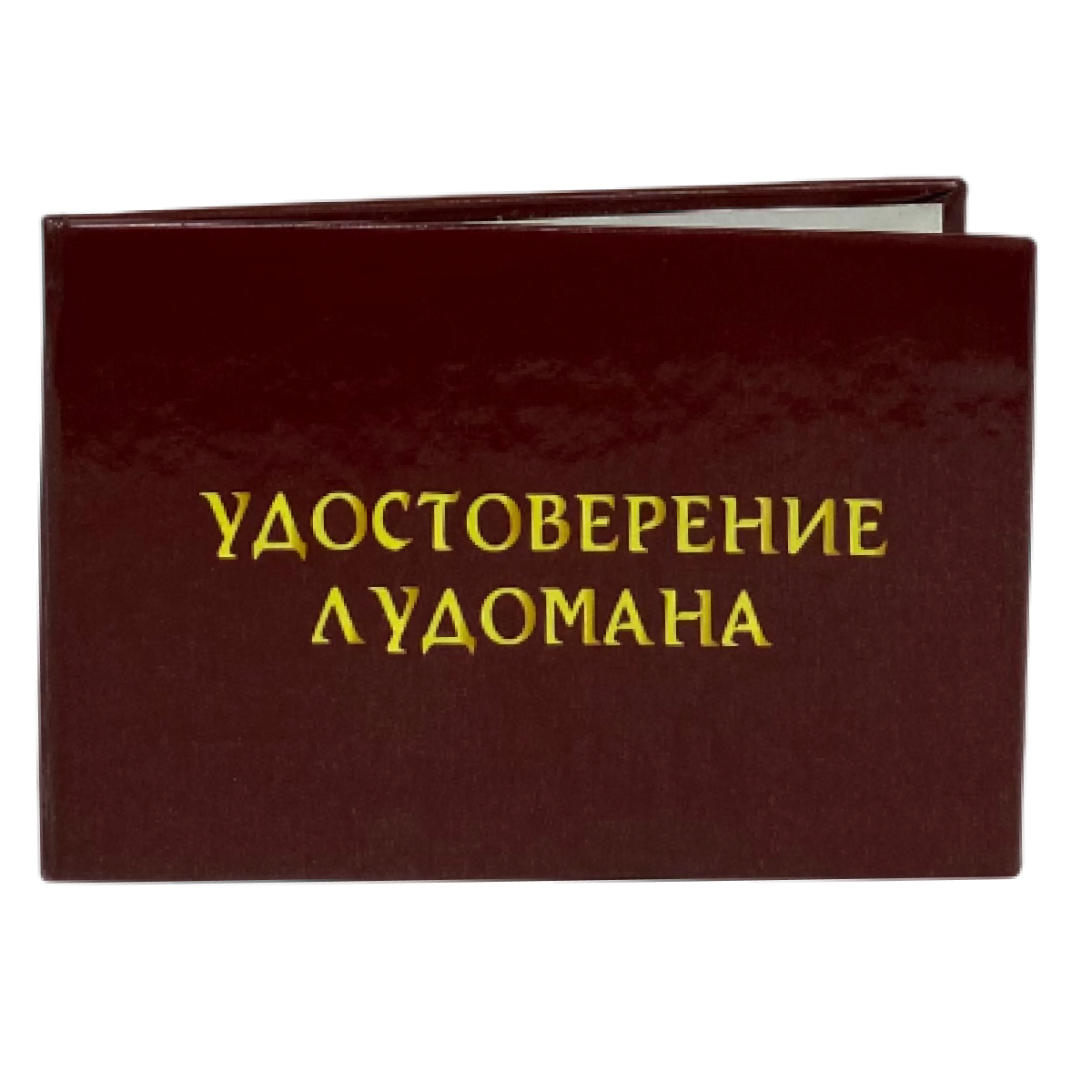 Изображение №2