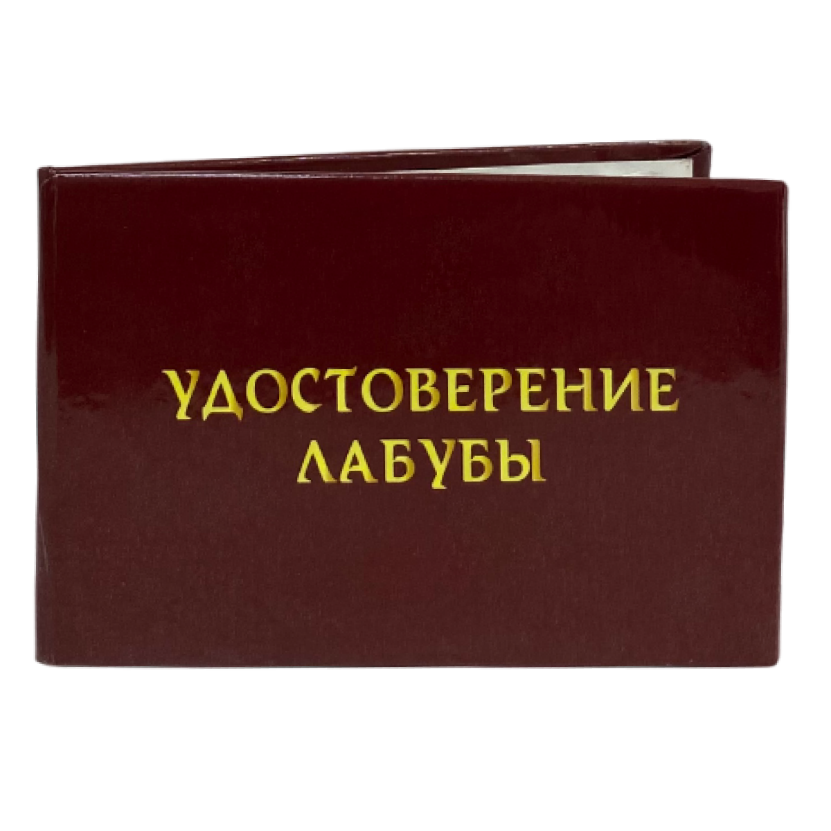 Изображение №2