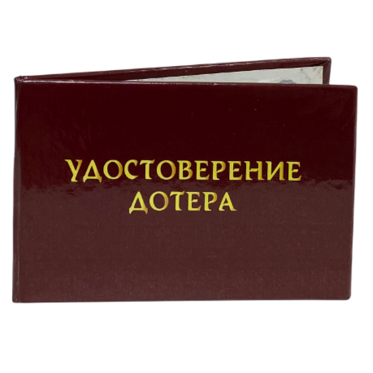 Изображение №2