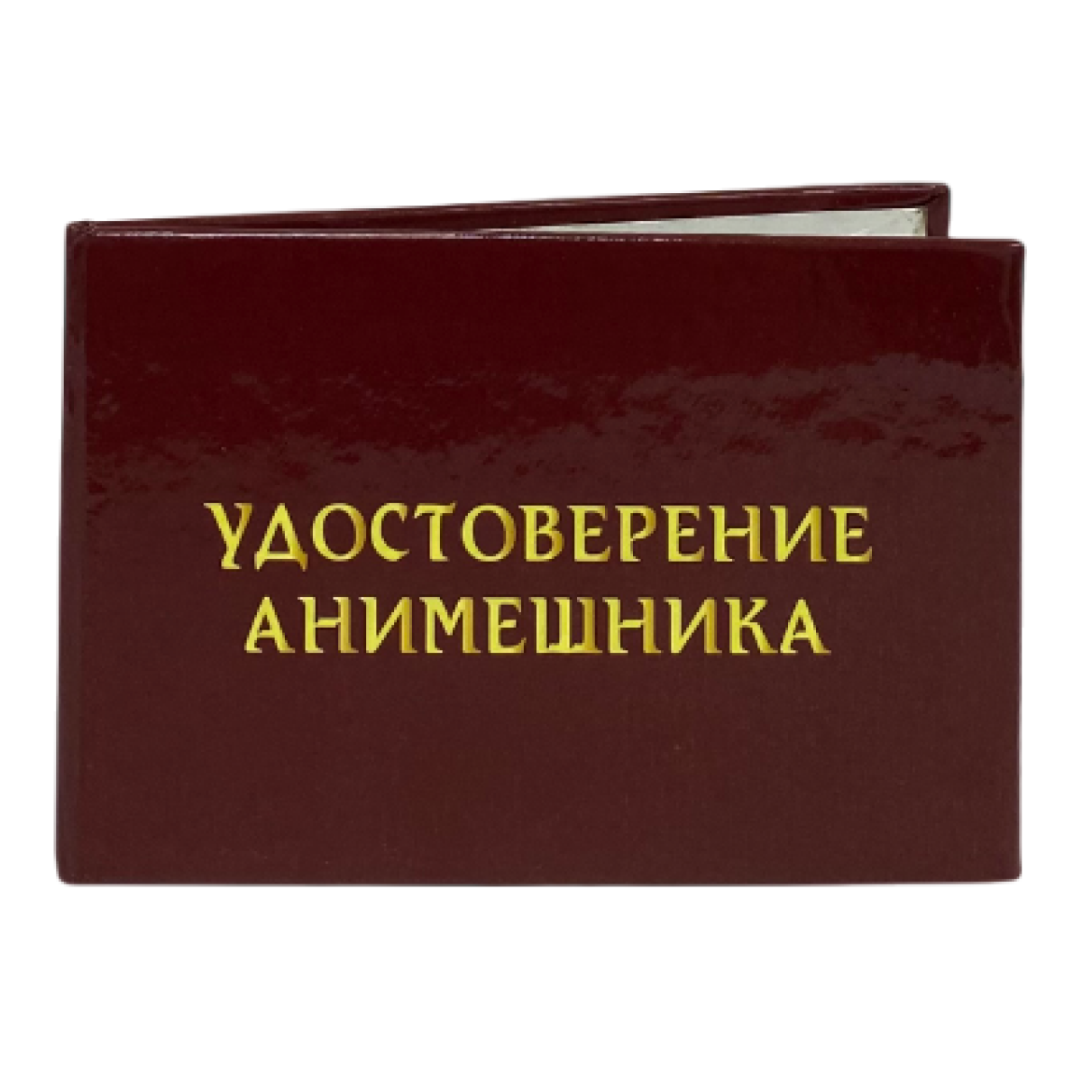 Изображение №2