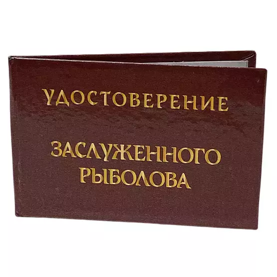 Изображение №2