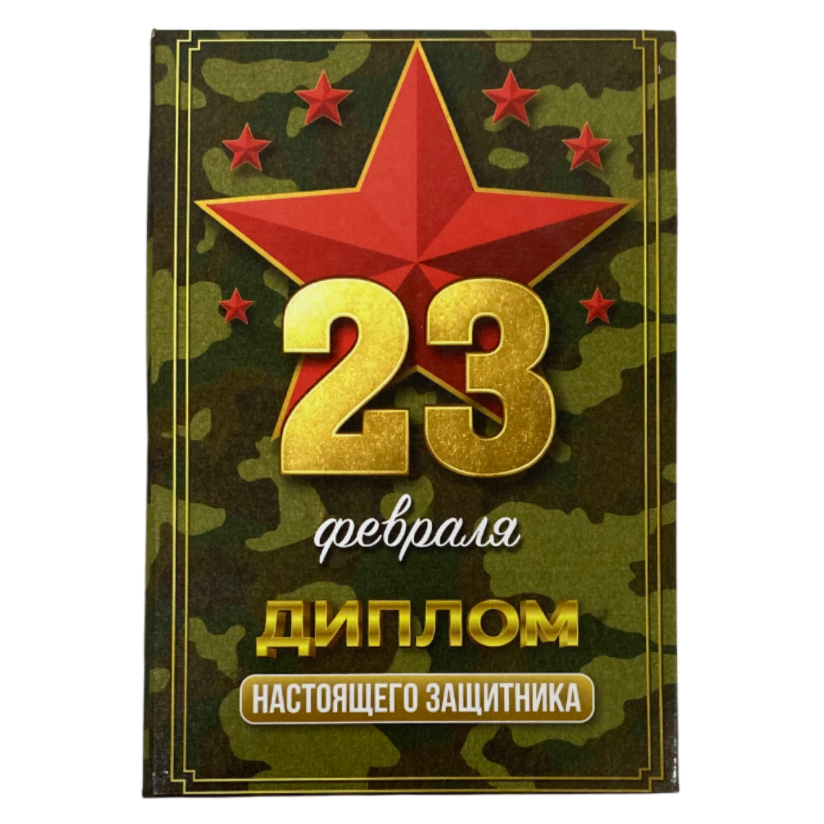 Диплом Настоящего Защитника (23февр) (папка адресная 15 х 11 х 0,4 см)