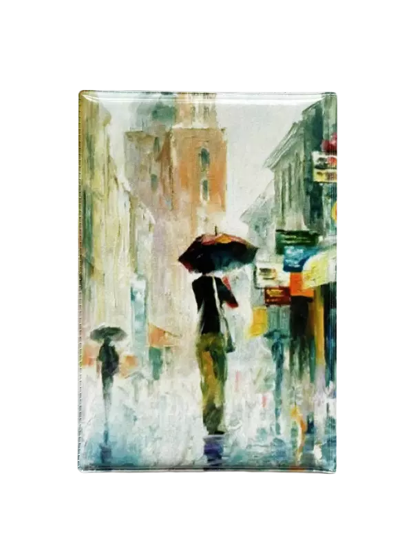 Обложка для паспорта “Дождь”