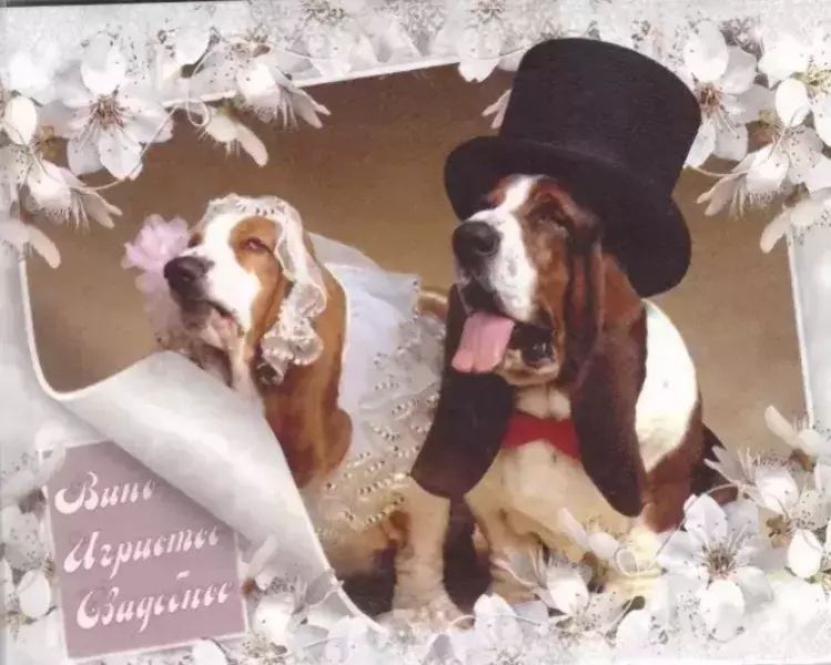 Наклейка на бутылку “Вино игристое свадебное” (собачки) уп. 20 шт. (95х120)