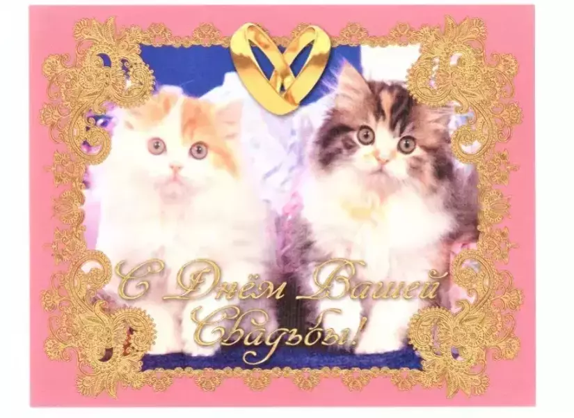 Наклейка на бутылку “С днем вашей свадьбы” (котики) уп. 20 шт. (95х120)