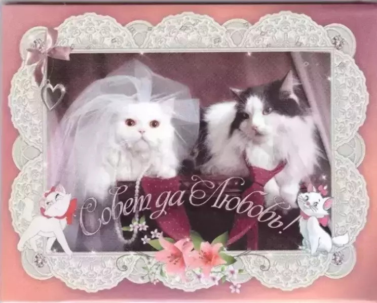 Наклейка на бутылку “Совет да любовь” (котики) уп. 20 шт. (95х120)