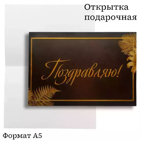 Изображение №1
