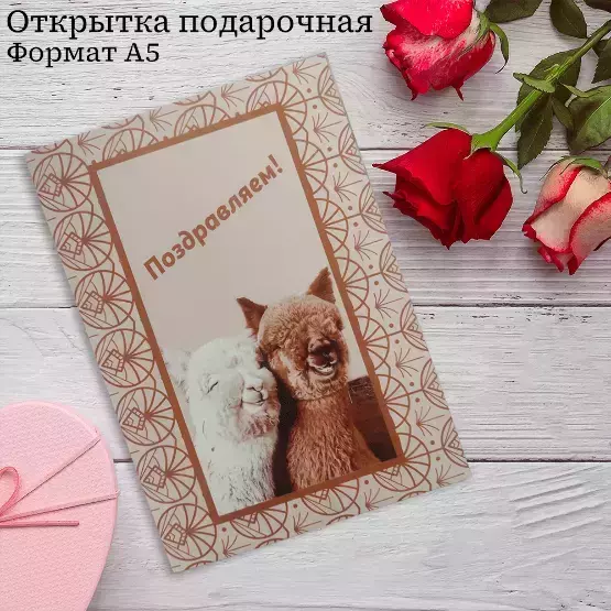 Подарочная открытка «Поздравляем»