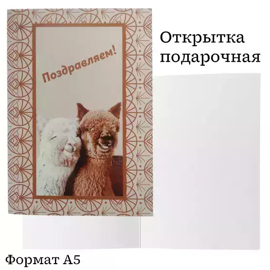 Изображение №1