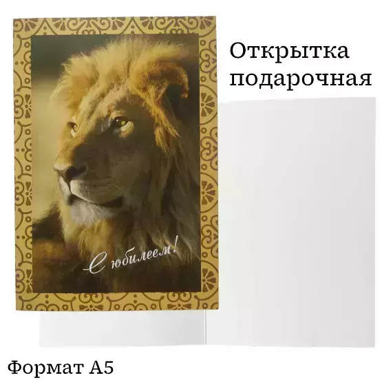 Изображение №1