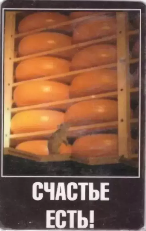 Магнит, Счастье есть винил