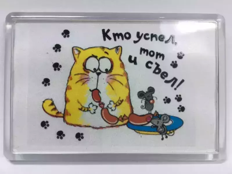 Магнит на холодильник “Кто успел, тот и съел!”