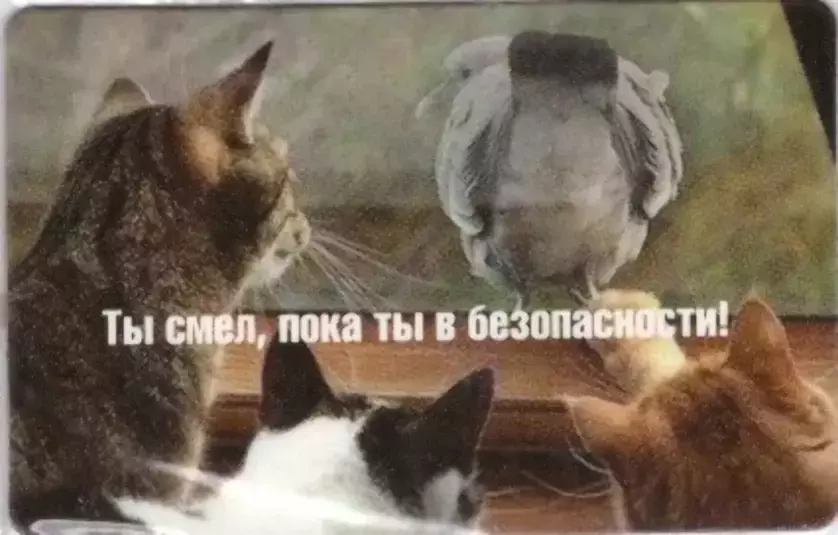 Магнит, Ты смел, пока ты в безопасности! винил