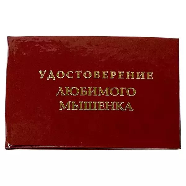 Шуточное удостоверение Любимого мышенка