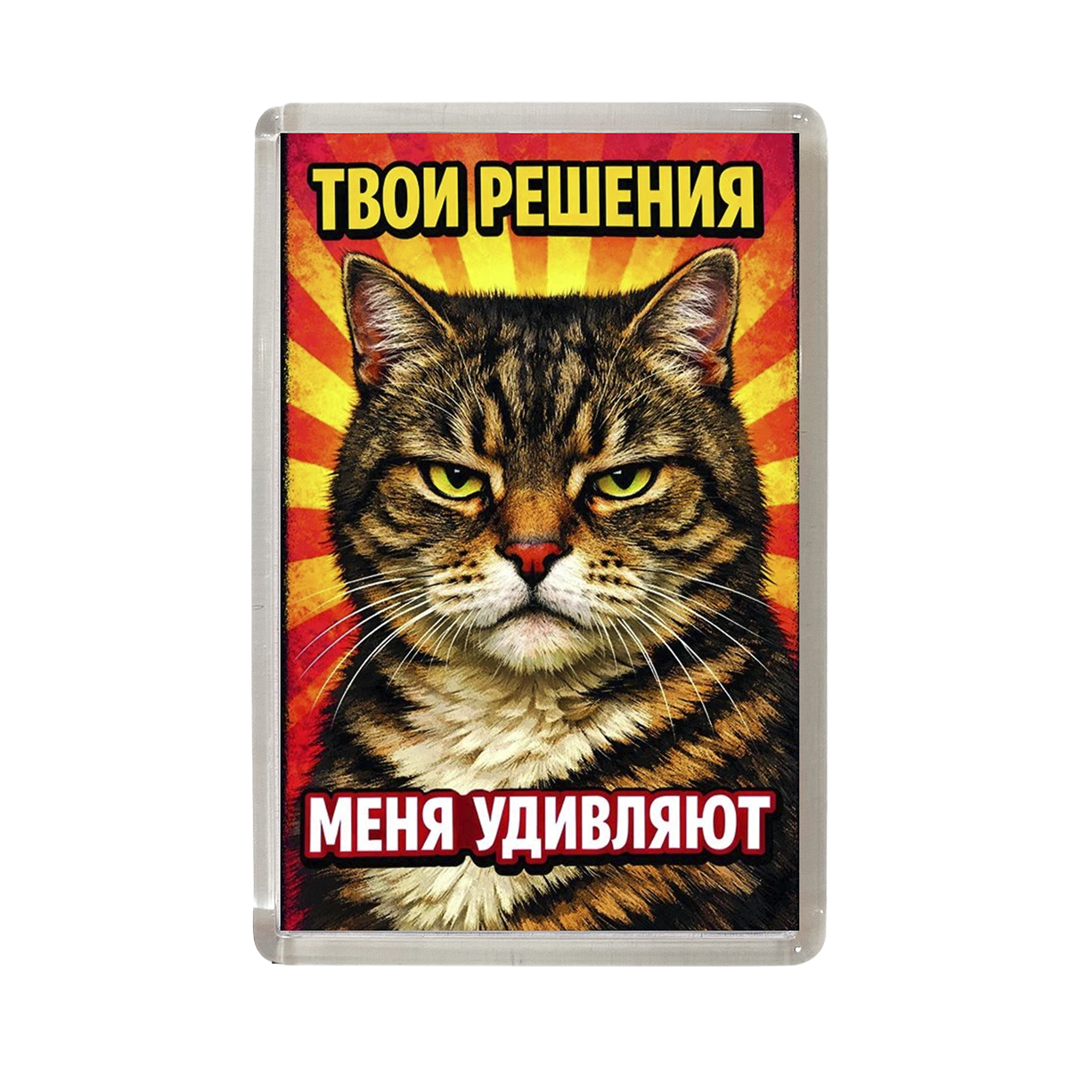 Магнит коты "Твои решения меня удивляют"