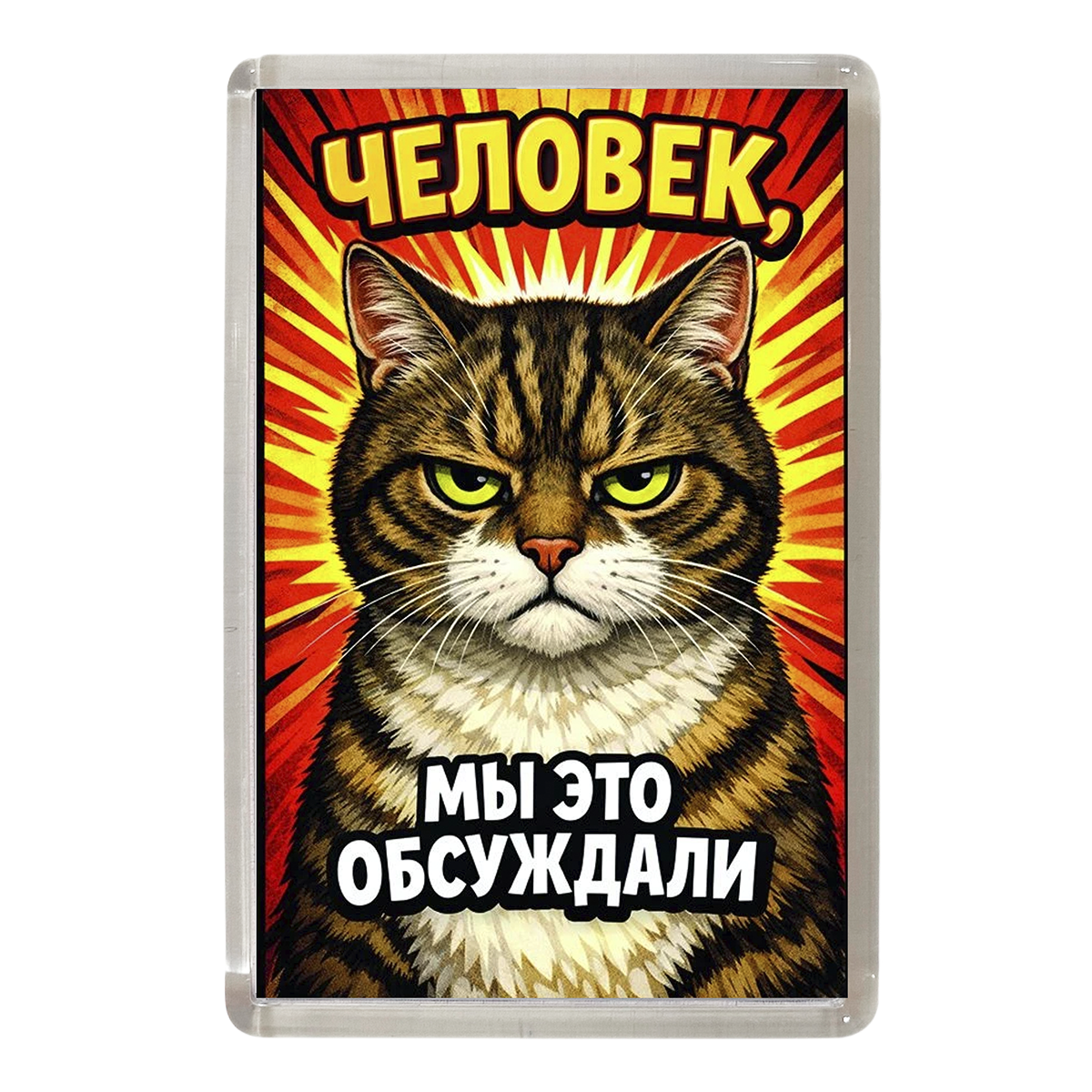 Магнит коты "Человек, мы это обсуждали"