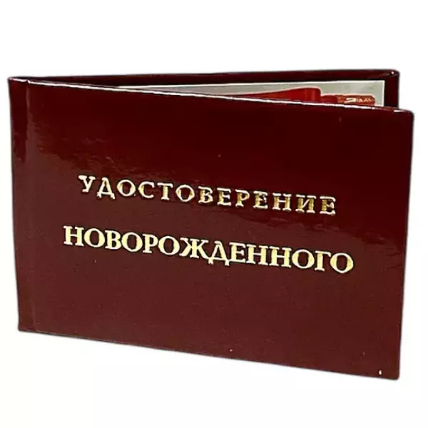 Шуточное удостоверение Новорожденного, фото 3