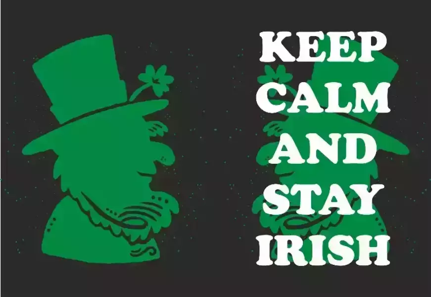 Обложка на паспорт “Ireland 5”, фото 2