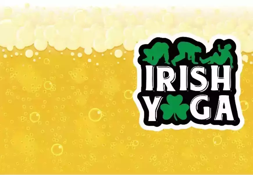 Обложка на паспорт “Ireland 7”, фото 2