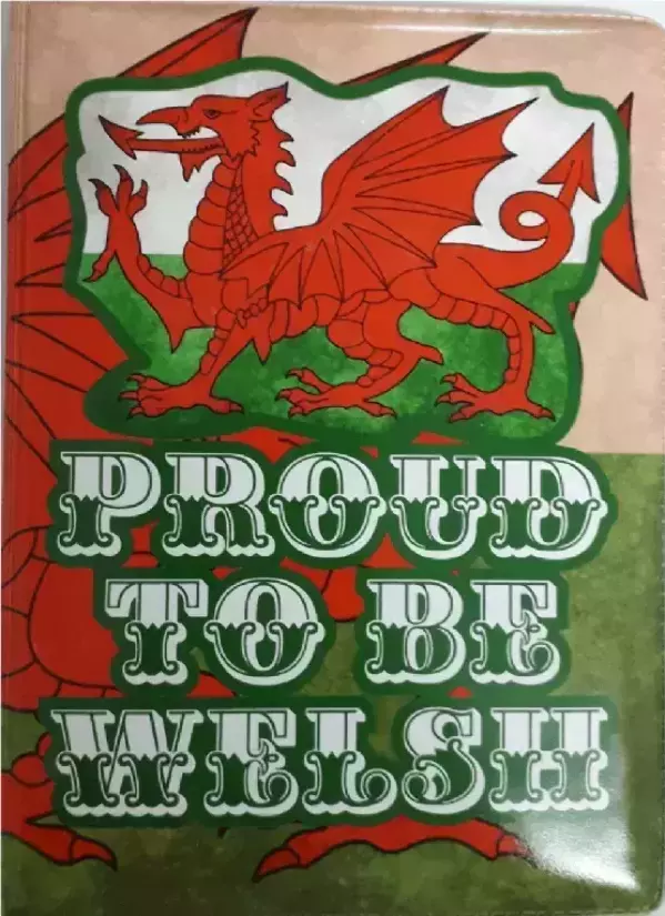 Обложка на паспорт “Ireland 12”