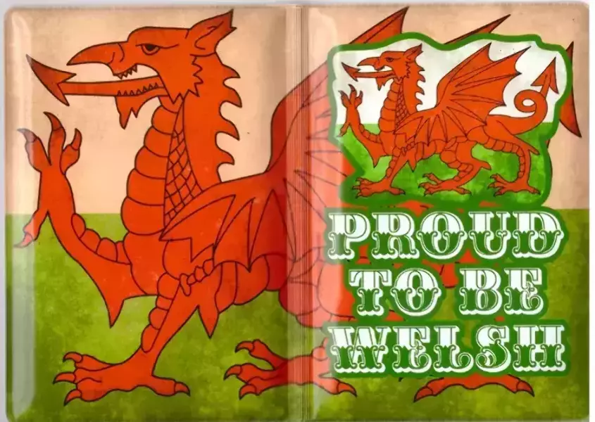 Обложка на паспорт “Ireland 12”, фото 2