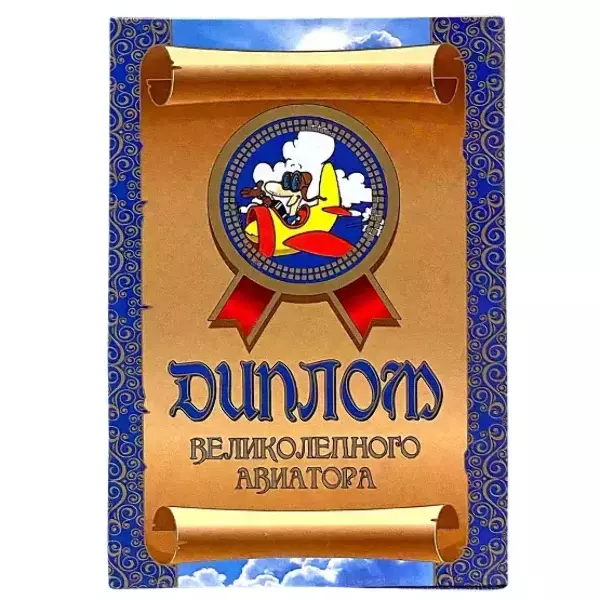 Диплом Великолепного авиатора (папка адресная 15 × 11 × 0,4 см)