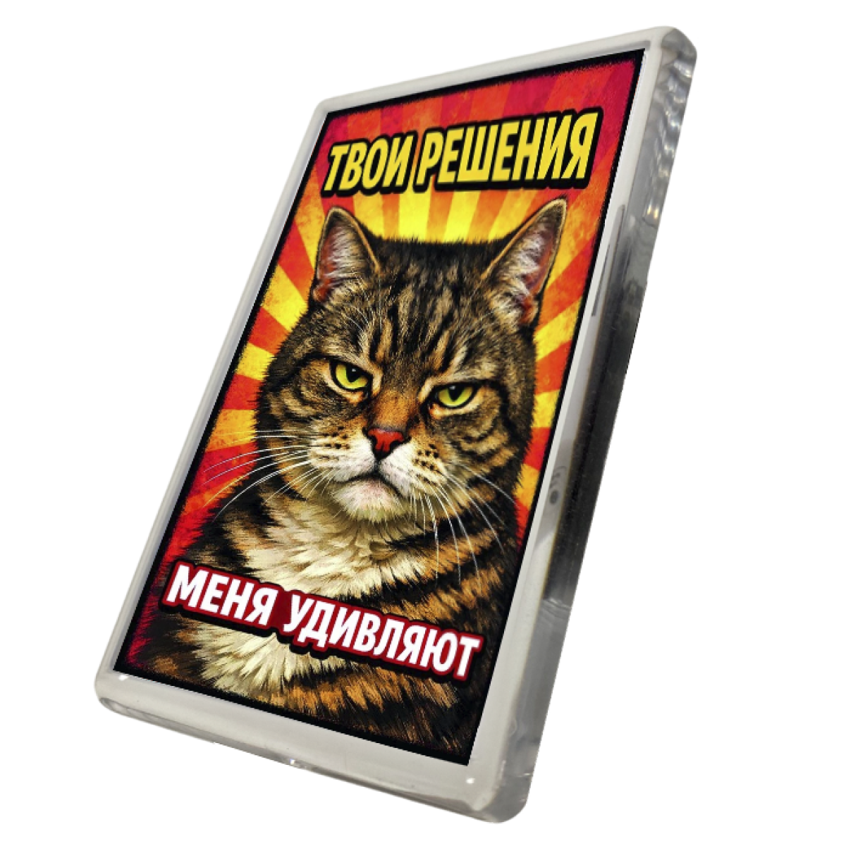 Магнит коты "Твои решения меня удивляют", фото 2