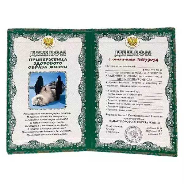 Диплом Приверженца здорового образа жизни  (папка адресная 15 х 11 х 0,4 см), фото 2