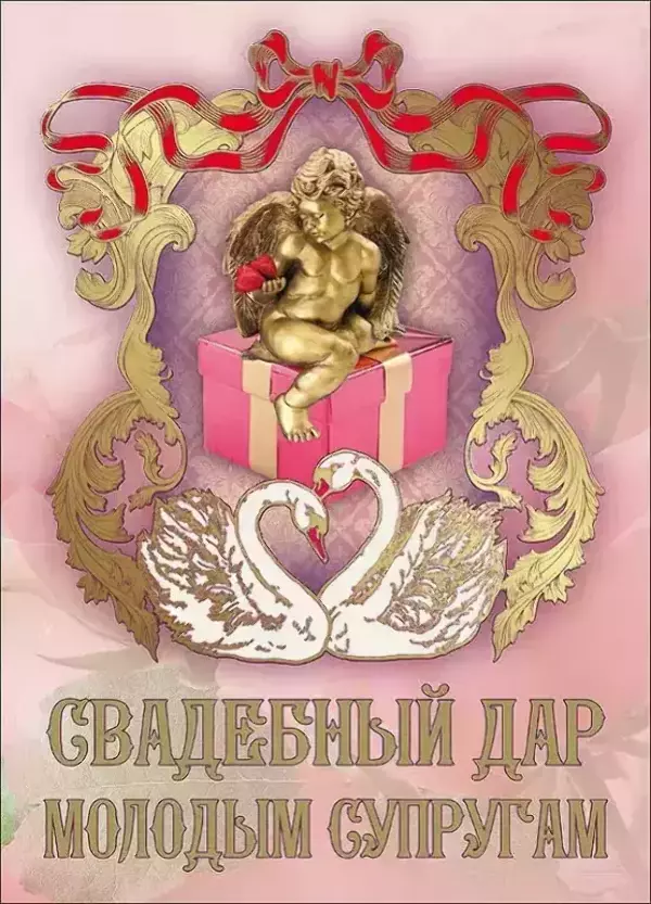 Свадебный диплом, Свадебный дар молодым супругам  (папка адресная 21 × 15 × 0,4 см)