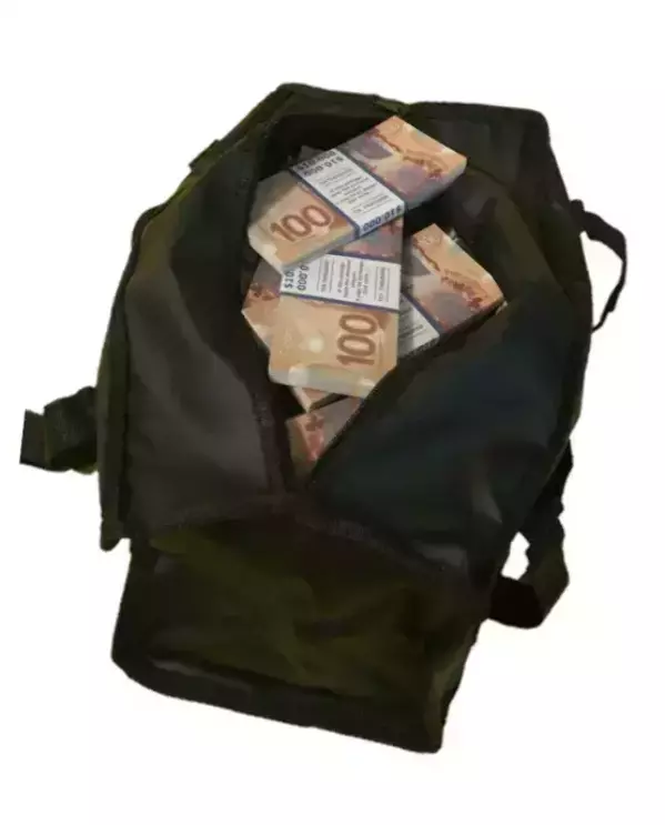 Сумка с деньгами 100 новых канадских долларов