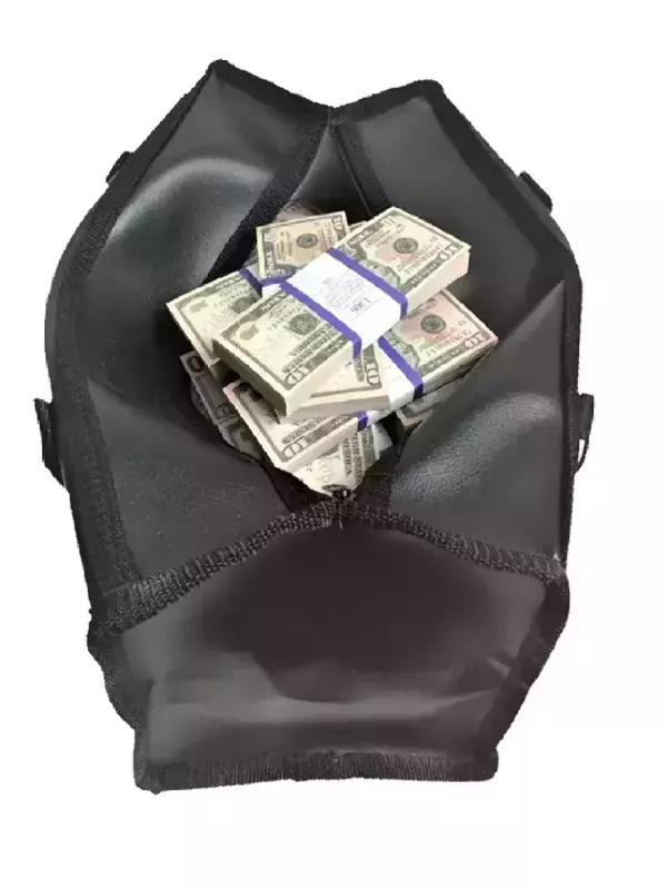 Сумка с деньгами 10 долларов