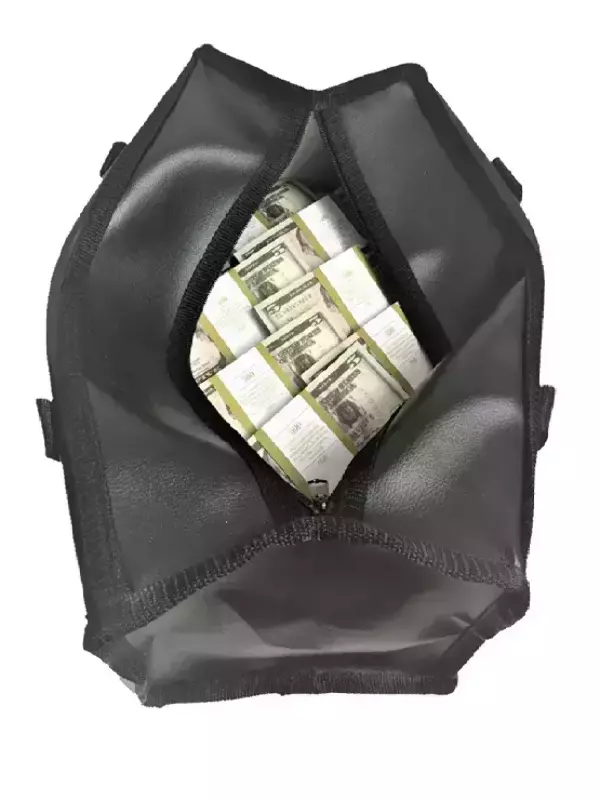 Сумка с деньгами 5 долларов